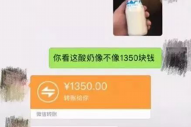 巴彦淖尔市专业讨债公司有哪些核心服务？